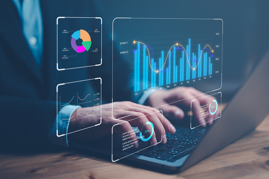 IT Project Manager